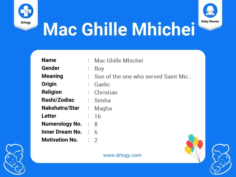 Mac Ghille Mhichei Name Meaning